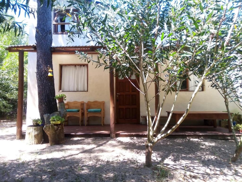 Colonia Marina - 3