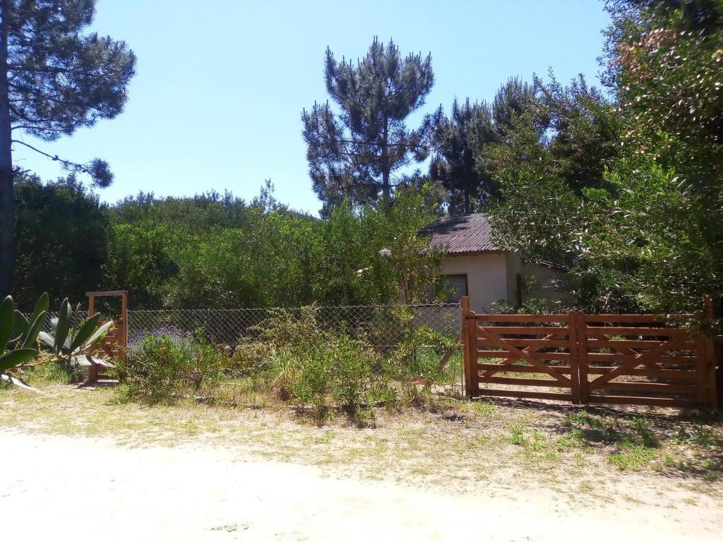 Colonia Marina - 4