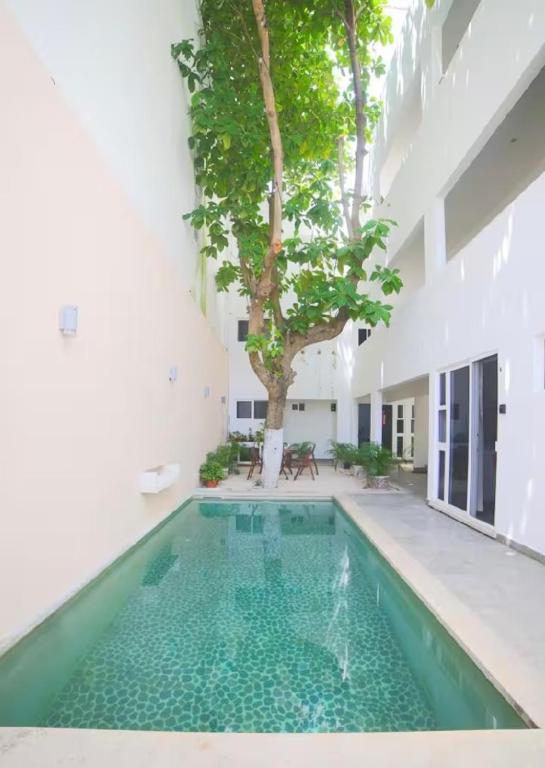 Almond Suites - 4