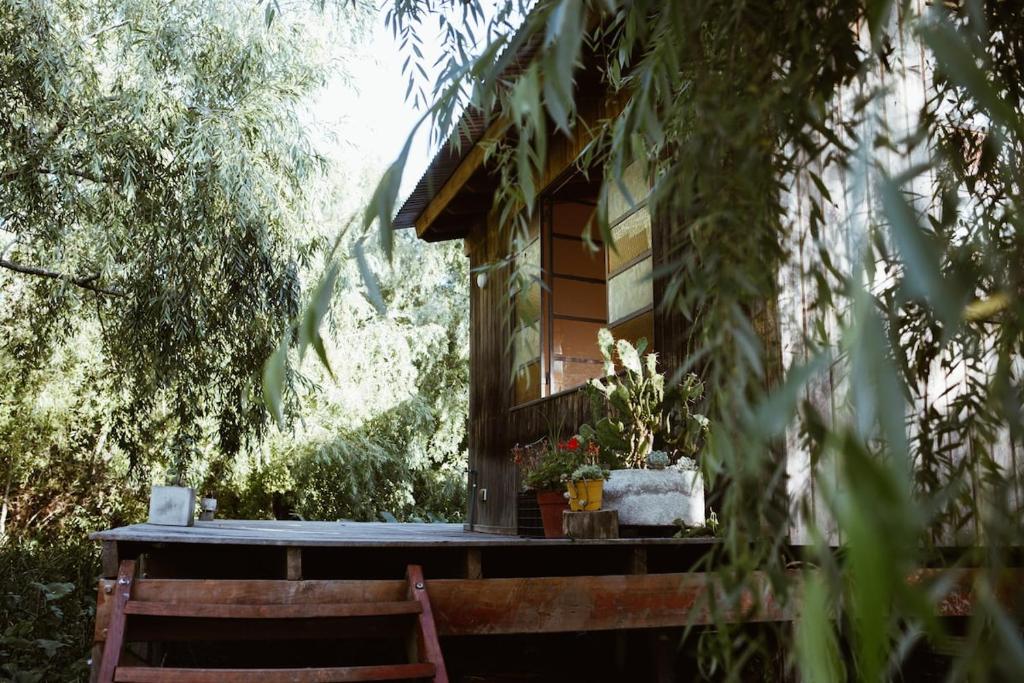 Casa XI - Isla del Delta - 1