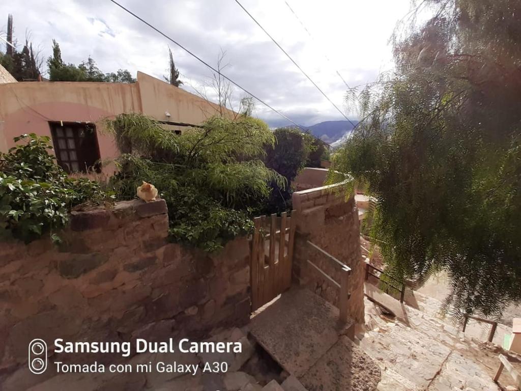 Escalera de piedra 3 - 2