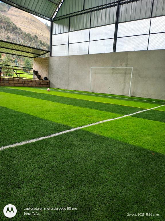 Nuevo campo verde eirl - 2