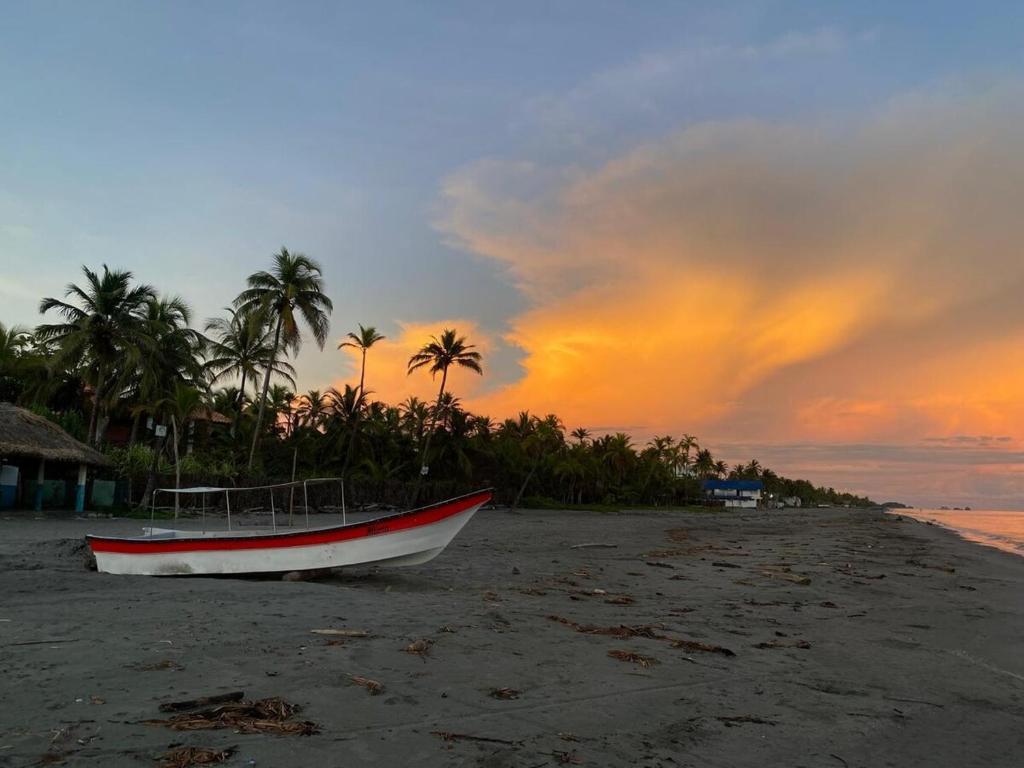 CARPE DIEM oceanfront cabin private beach - 5