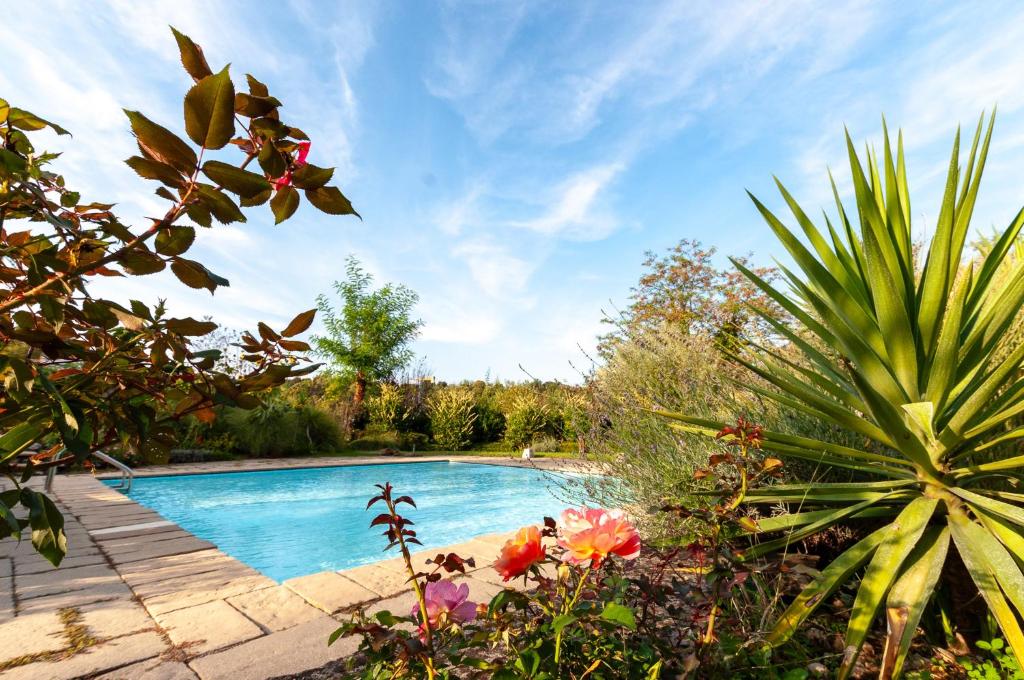 Bagode Country Lodge - 3