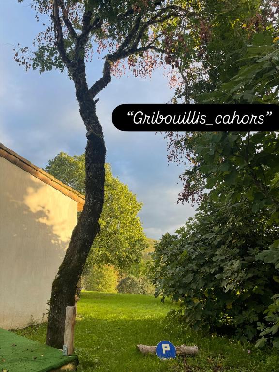 Gribouillis - 3