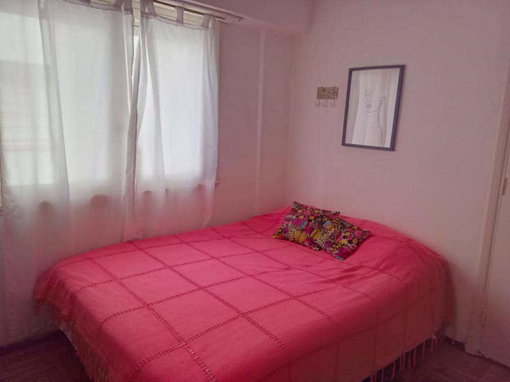 Departamento Falucho - 2