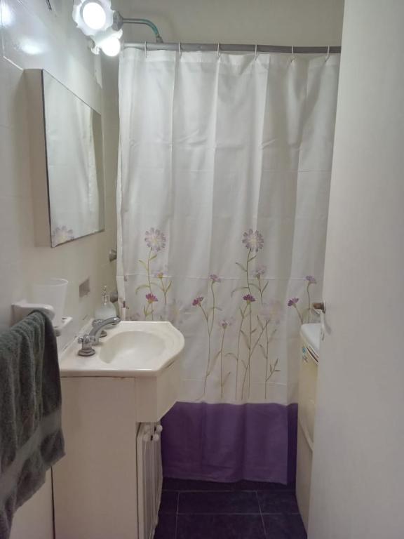 Departamento Falucho - 4