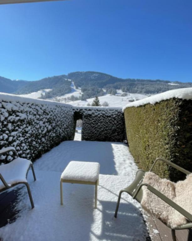 Studio charmant avec terrasse et jardin - 1