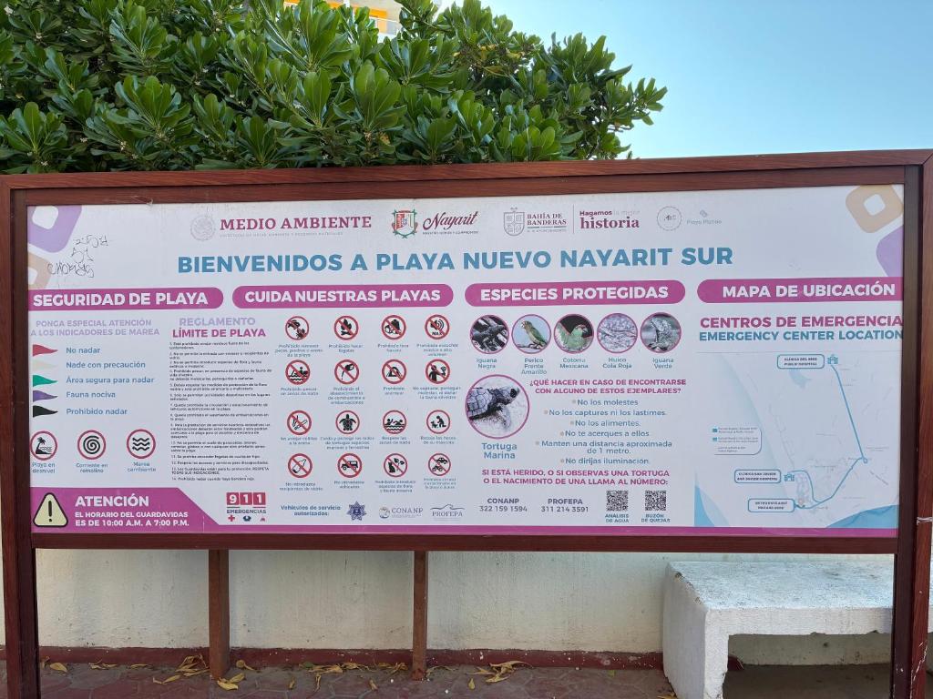 Suite Privada frente a Vidanta Queen - 2