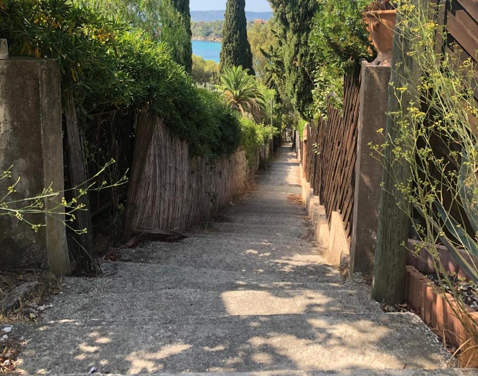 Villa Piccolina Aiguebelle Lavandou face aux îles - 5