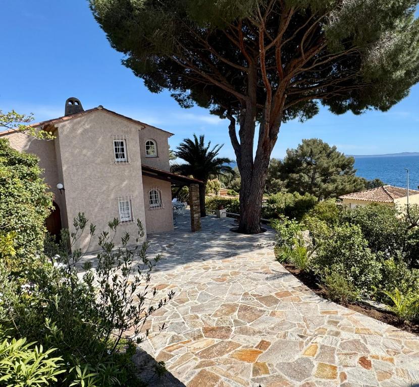 Villa Piccolina Aiguebelle Lavandou face aux îles - 3