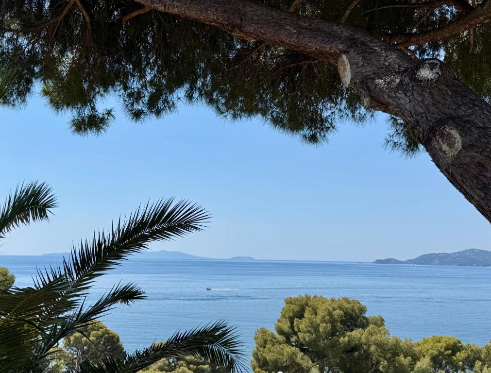 Villa Piccolina Aiguebelle Lavandou face aux îles - 2