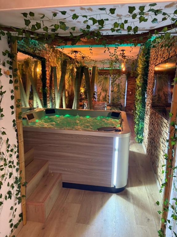 Suite Jungle Room - 1