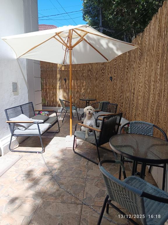 Casa Tribu - 1
