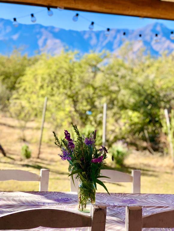 Glamping Traslasierra Carpa Sur - 5