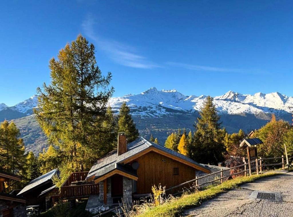Chalet De Vallandry - Chalet de charme 6 personnes à Vallandry situé à proximité des pistes et des commerces MAE-1021 - 3