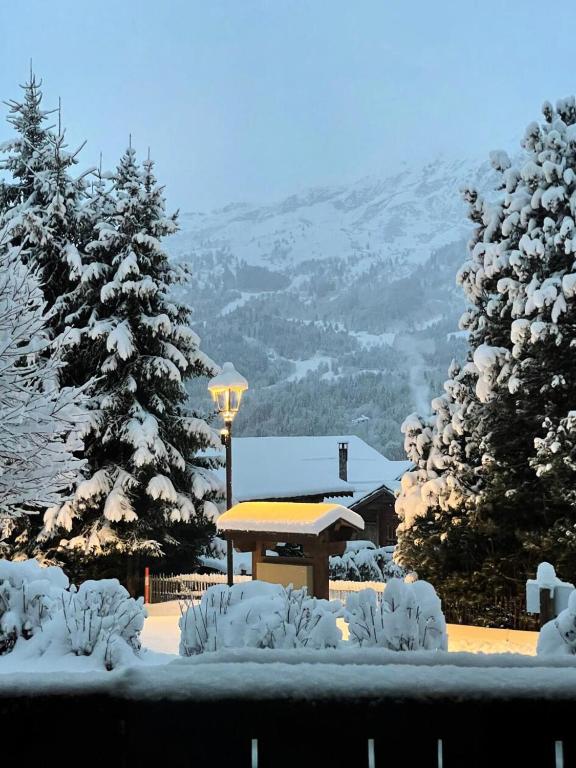 Résidence Fermes De Meribel E - Méribel Village appartement 3 pièces MAE-4083 - 4