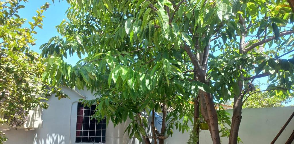 Alojamiento El Abuelo - 5