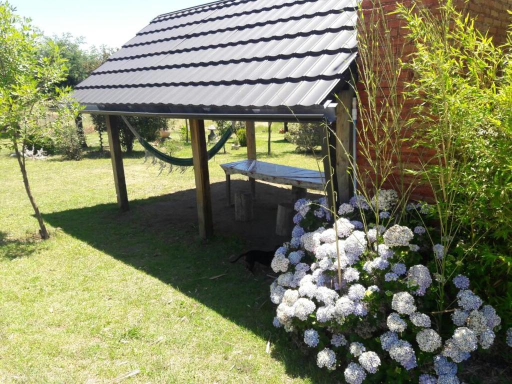 Cabañas atardecer soñado - 2