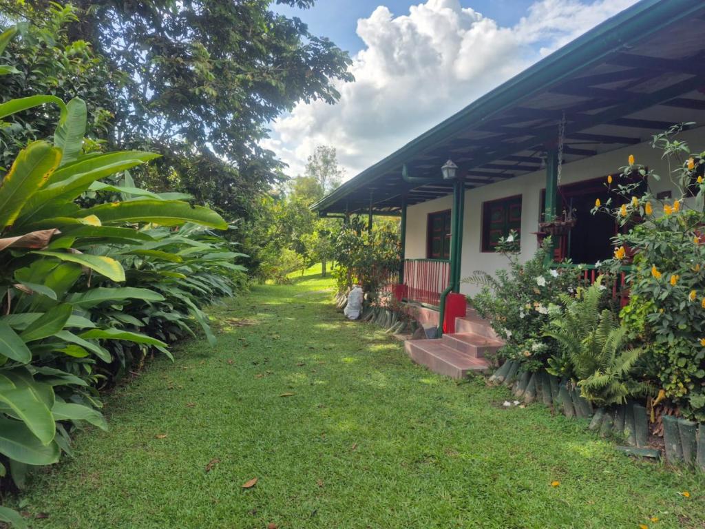 Villa Alejandra - 5