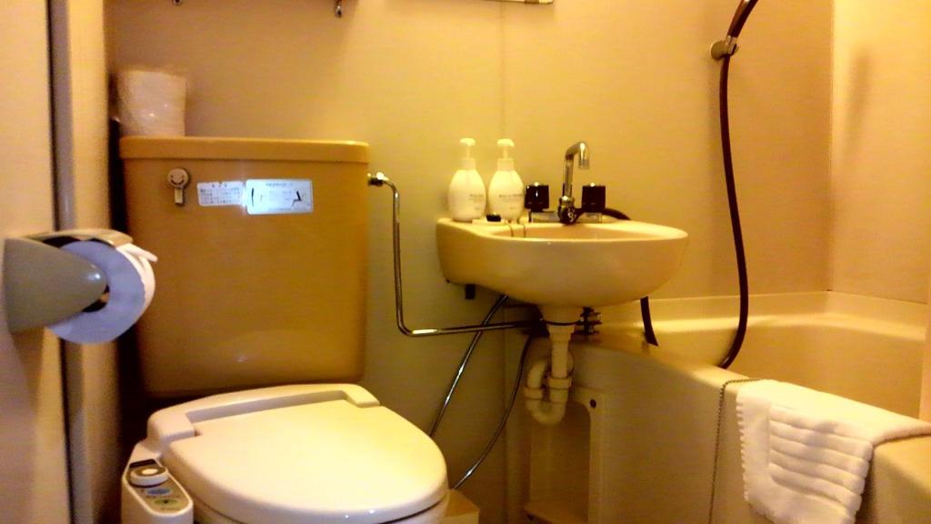 Hotel Hitachi Hills photo