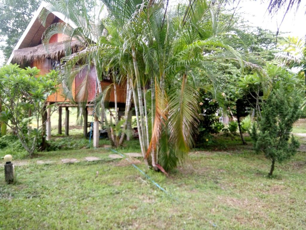 Ing Doi Guest House photo