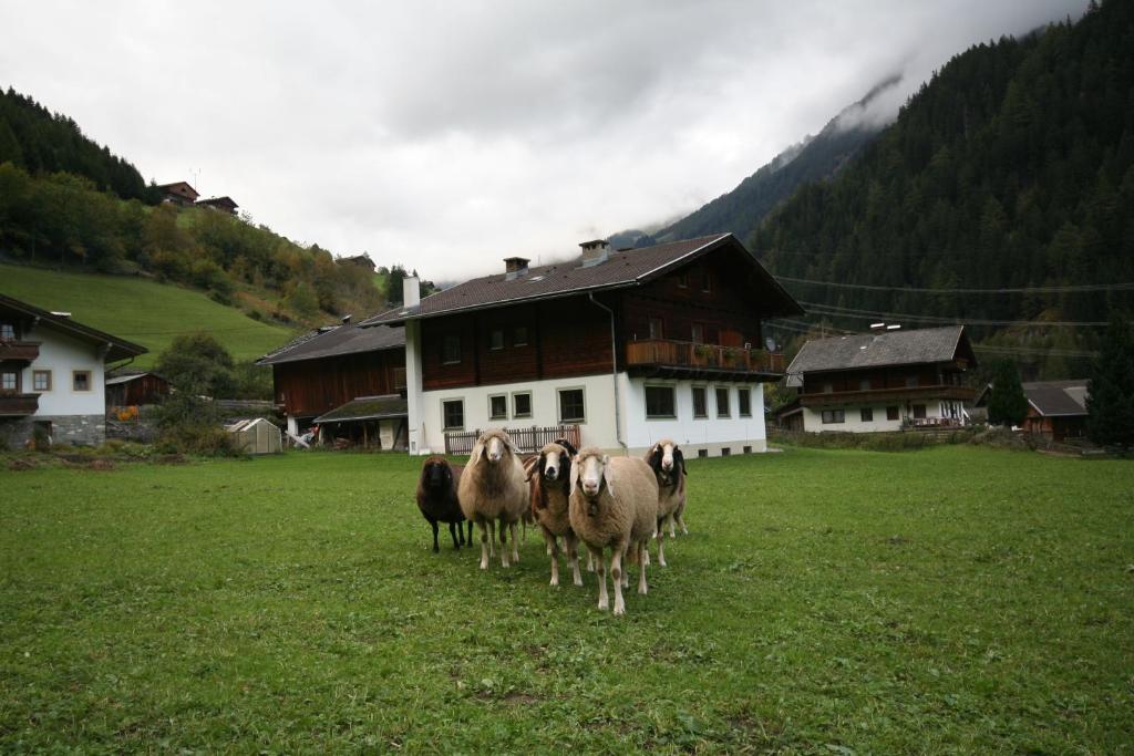 Ferienhaus Ruggenthaler - 3
