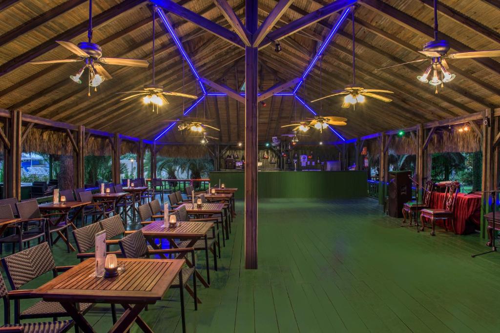 お料理のイメージ