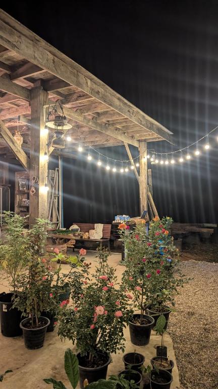 Amazing Mountain Camping, Bar&amp;Grill