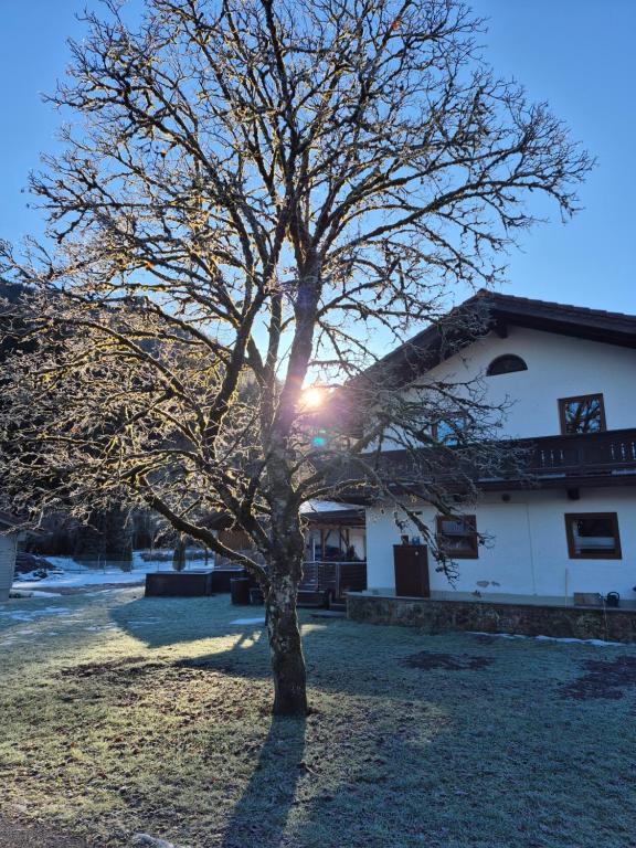 Ferienhaus, Abenteuer, Alpen, Auszeit Ruhpolding - 3