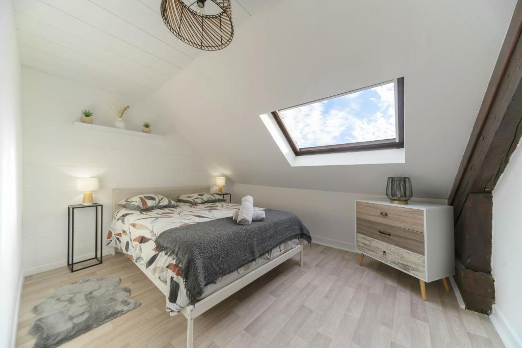 Le Cedre - Appartement cosy dans le centre de Vichy - 4