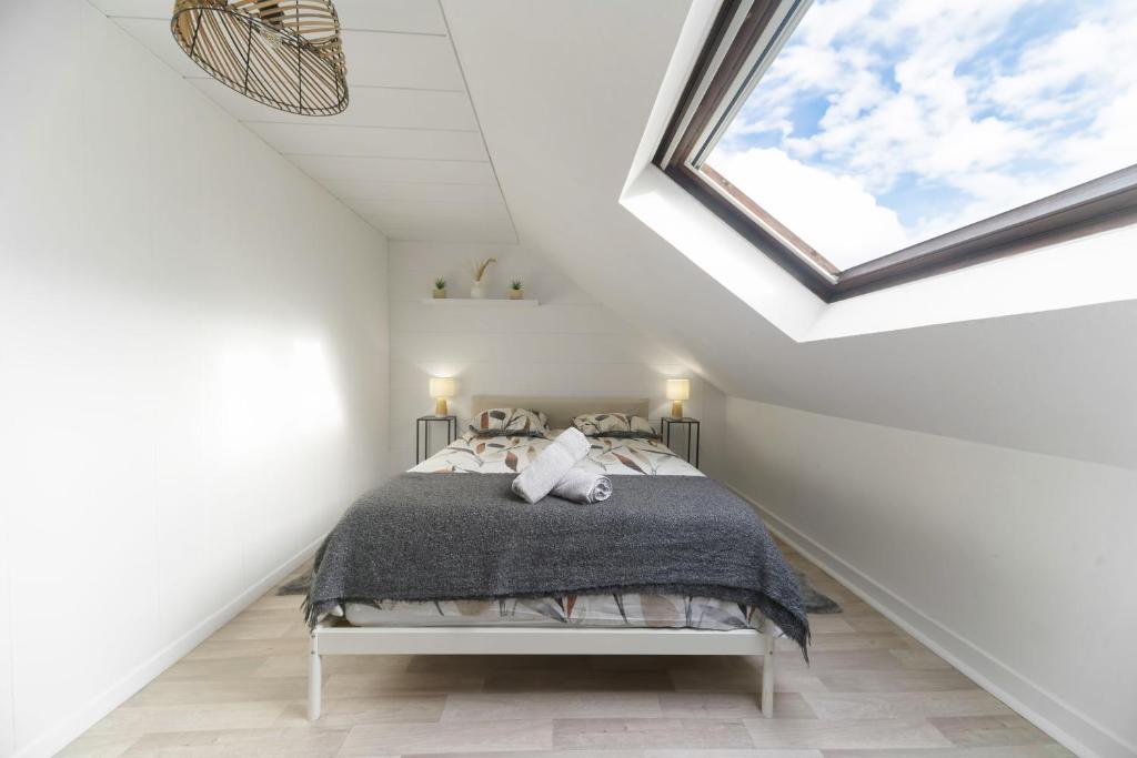 Le Cedre - Appartement cosy dans le centre de Vichy - 3