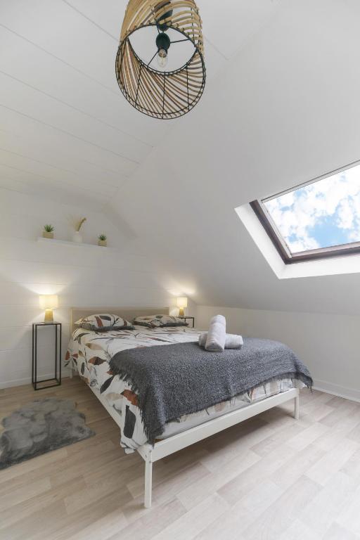 Le Cedre - Appartement cosy dans le centre de Vichy - 2