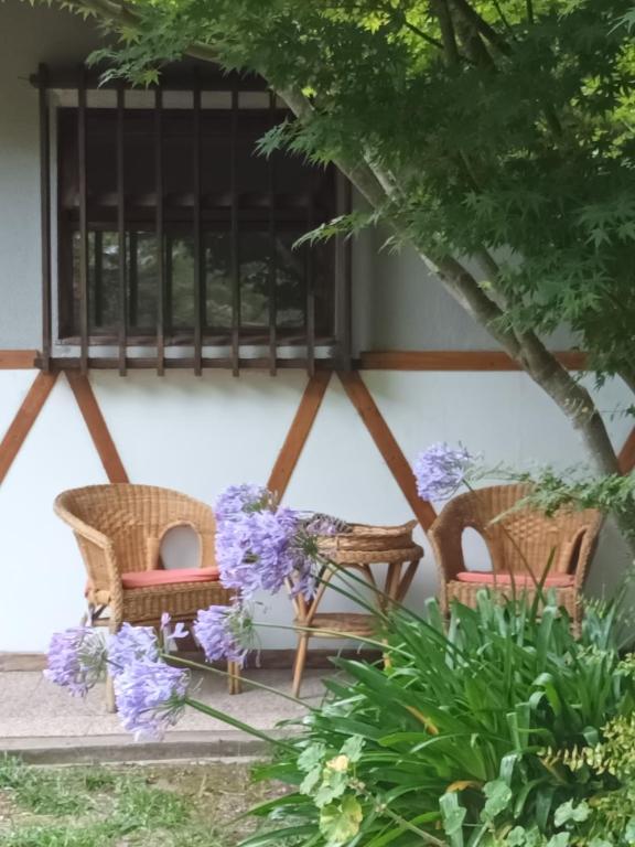 Jardin Secreto - 1