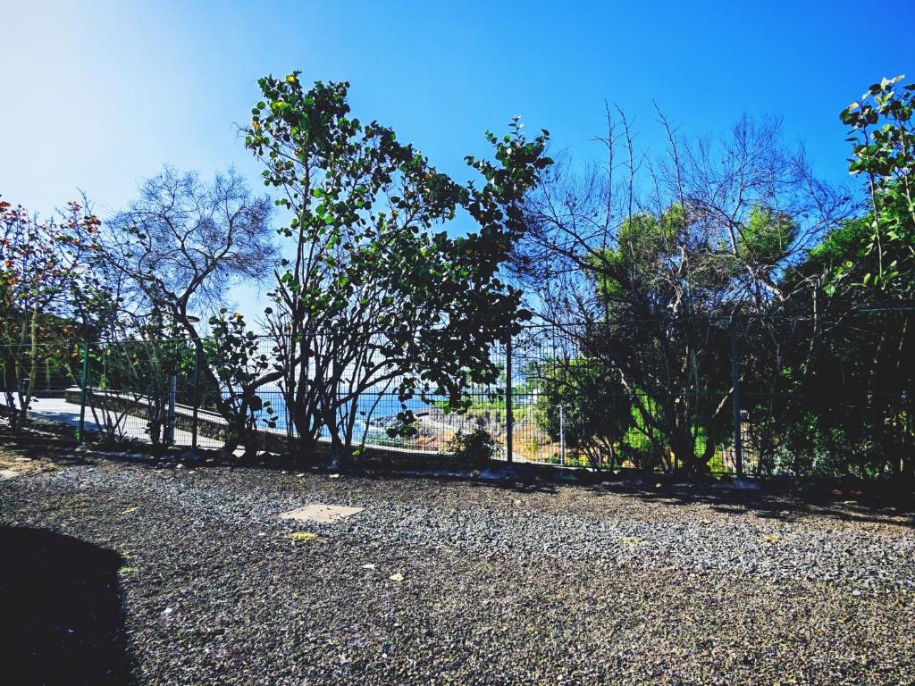 Paraiso del Sur Sea View Apartment - 4
