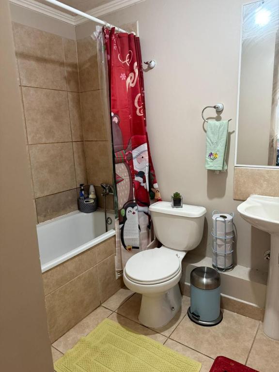 Apartamento en Villarrica - 2