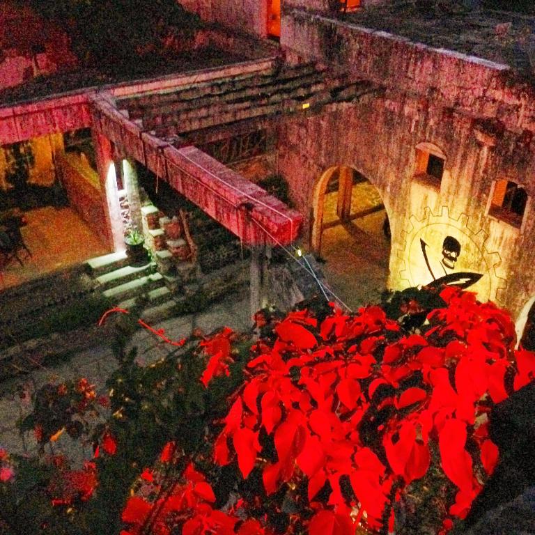 En plein centre-ville !