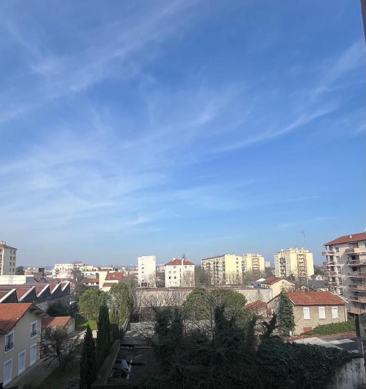 Appartement de charme - Parking privé gratuit - Métro proche - Cours Emile Zola - 2