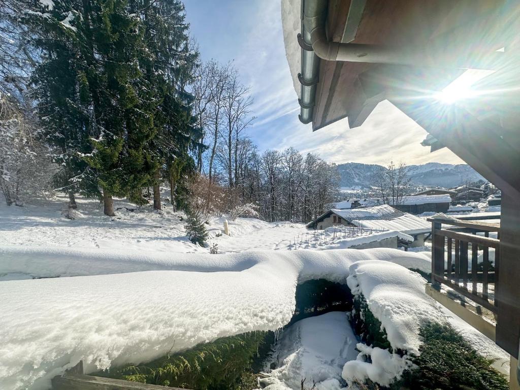 Sapins blancs Megeve - 1