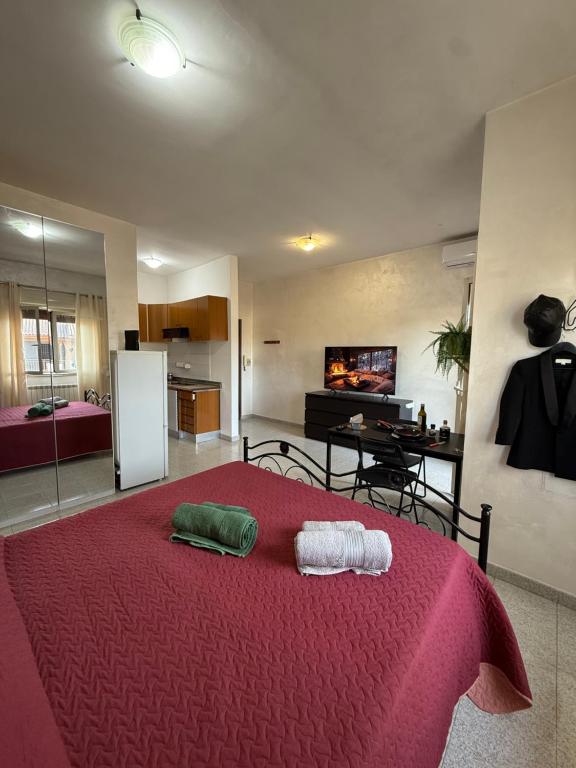 Residenza Anagnina - 4