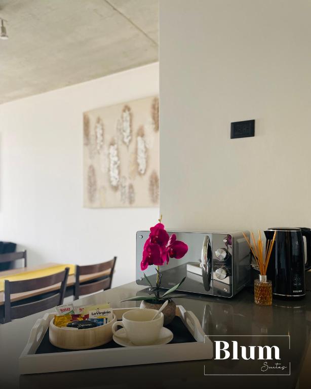 Blum Suites - 5