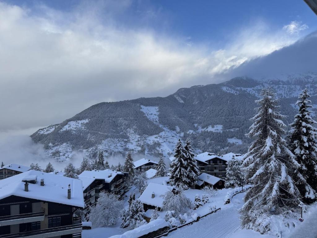 2 bed ski in out apartment La Tzoumaz Verbier - 2