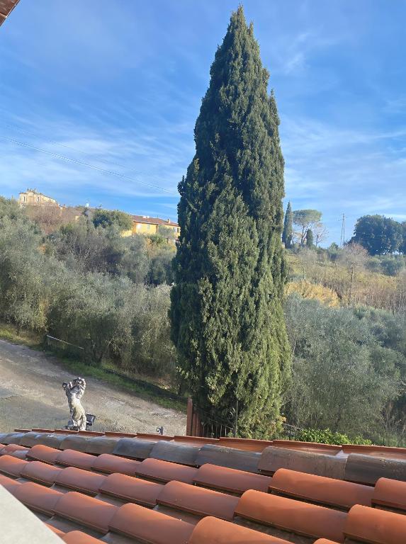 Villa Mirasole - 3