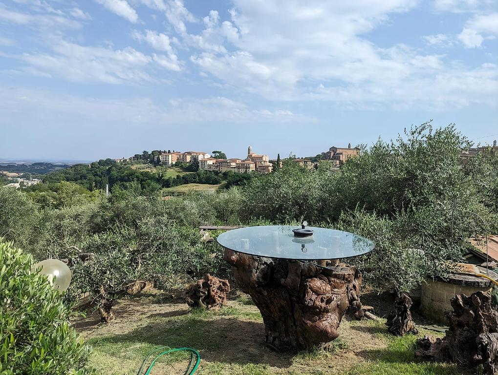 Villa Mirasole - 1