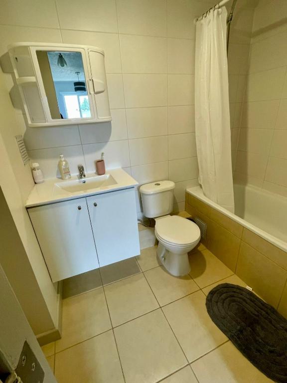 Departamento para dos o 3 personas en Valdivia - 2