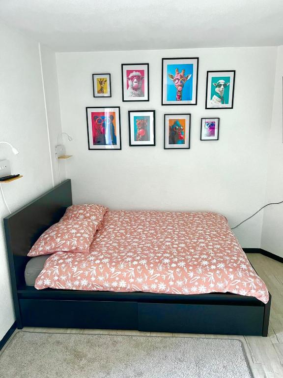 Calm and Cozy Apartment - 2