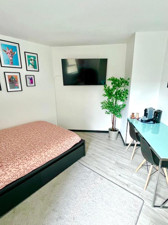 Calm and Cozy Apartment - 1