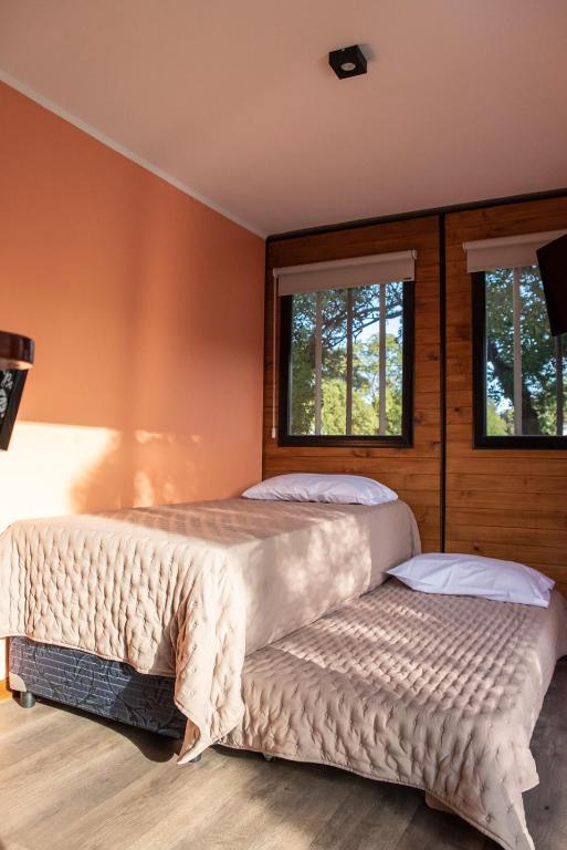 Container Los Lobos - 3