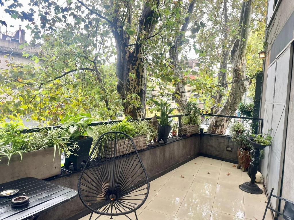 Casa Palermo soho - 4