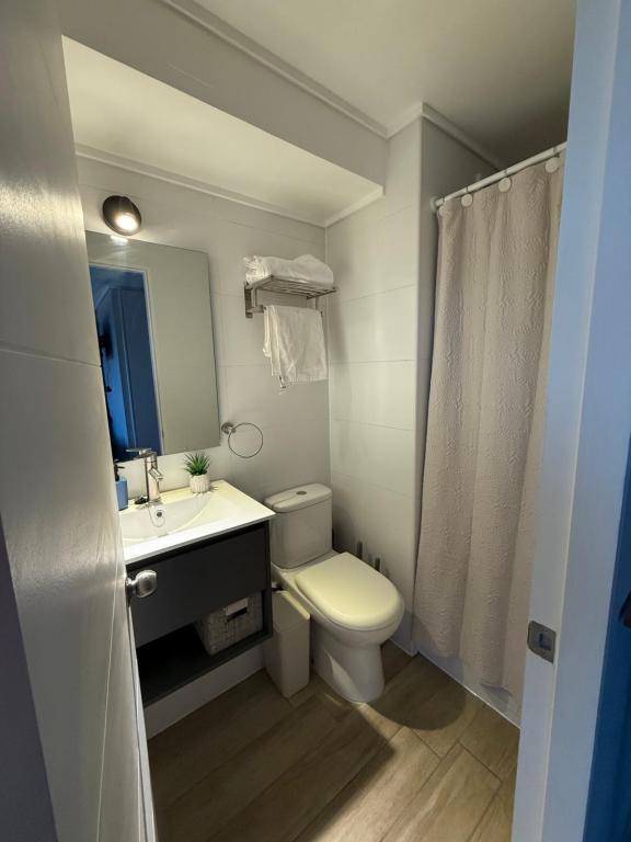 Apartamento Moderno con Vista al Parque OHiggins - 3